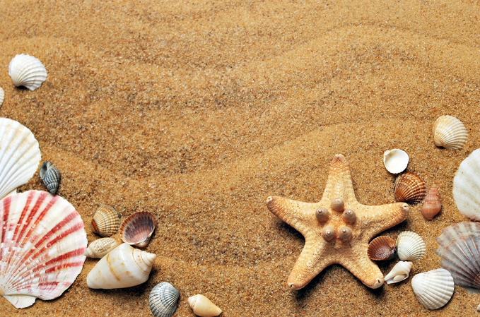 Strandbild